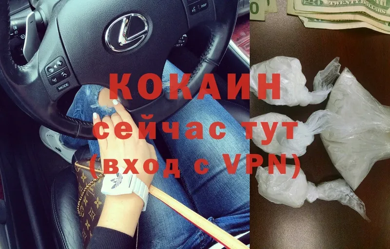 где купить наркоту  Лукоянов  COCAIN Колумбийский 