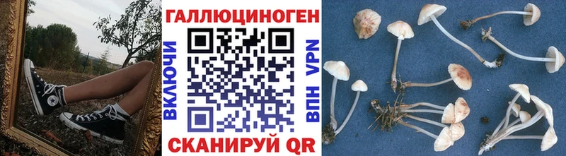 Псилоцибиновые грибы Magic Shrooms Лукоянов